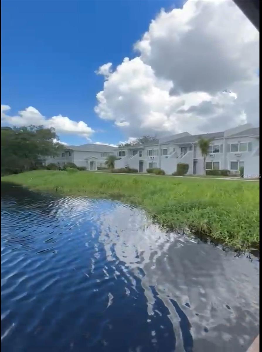 4127 Dolphin Dr #4127 Property Photo 56