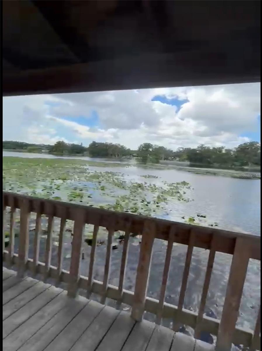4127 Dolphin Dr #4127 Property Photo 58