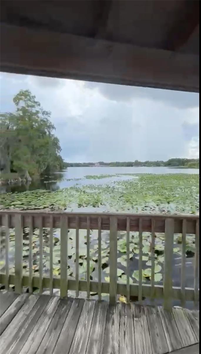 4127 Dolphin Dr #4127 Property Photo 59