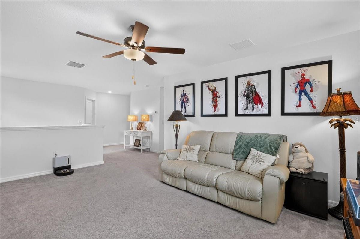 12036 Blue Diamond Trl Property Photo 15