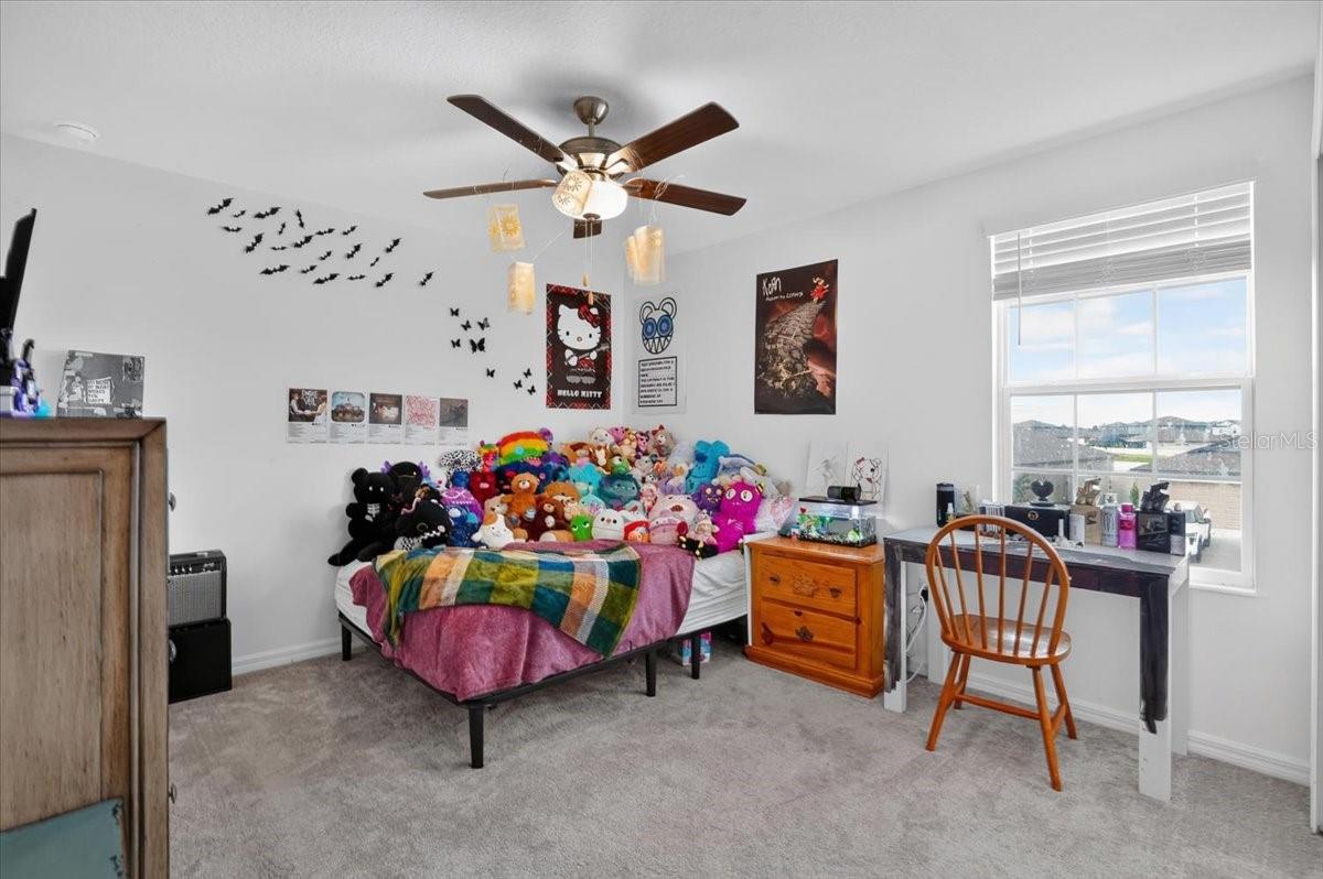 12036 Blue Diamond Trl Property Photo 25