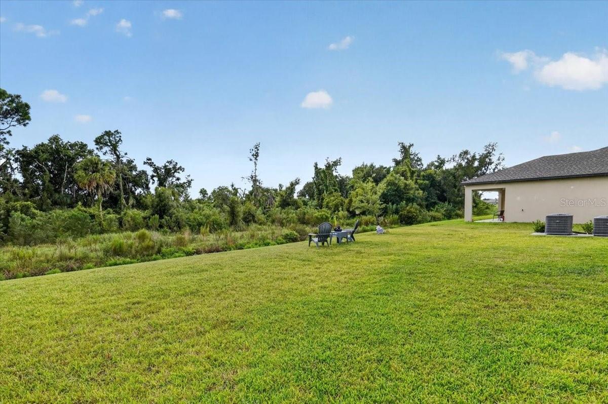 12036 Blue Diamond Trl Property Photo 29
