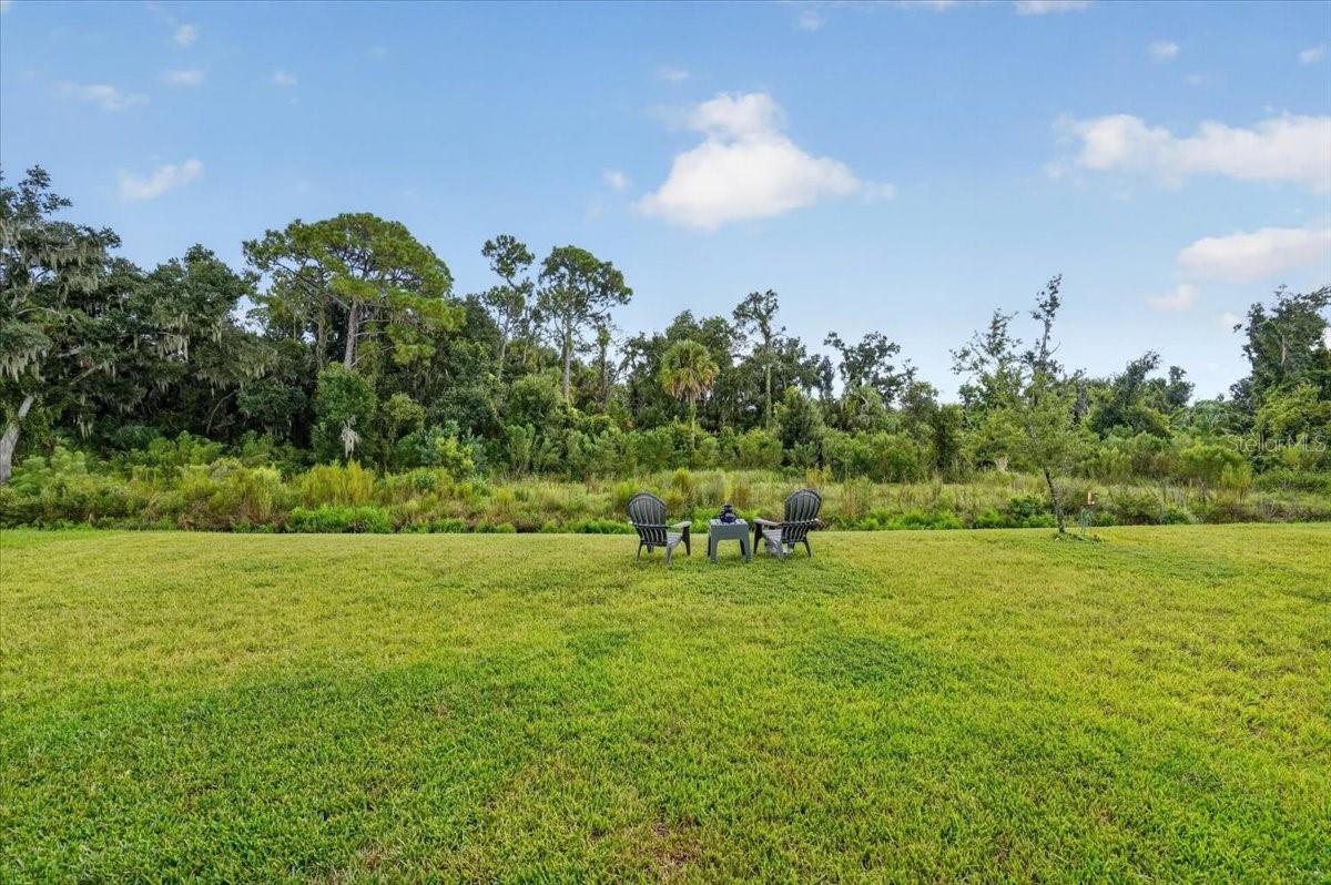 12036 Blue Diamond Trl Property Photo 30