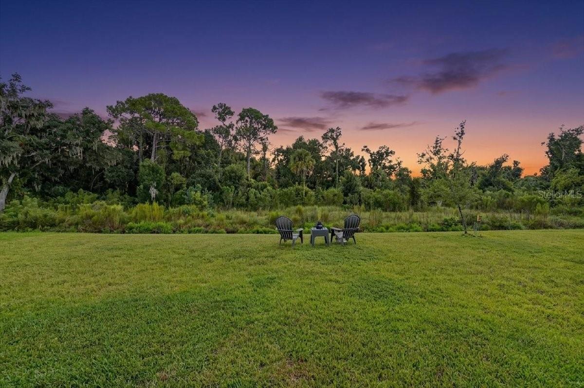 12036 Blue Diamond Trl Property Photo 31