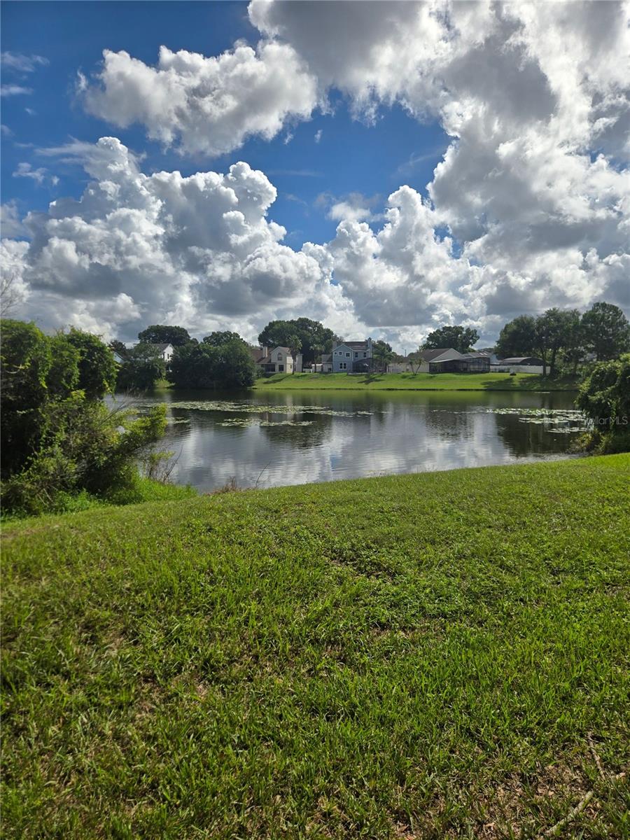 2577 Grassy Point Dr #105 Property Photo 27