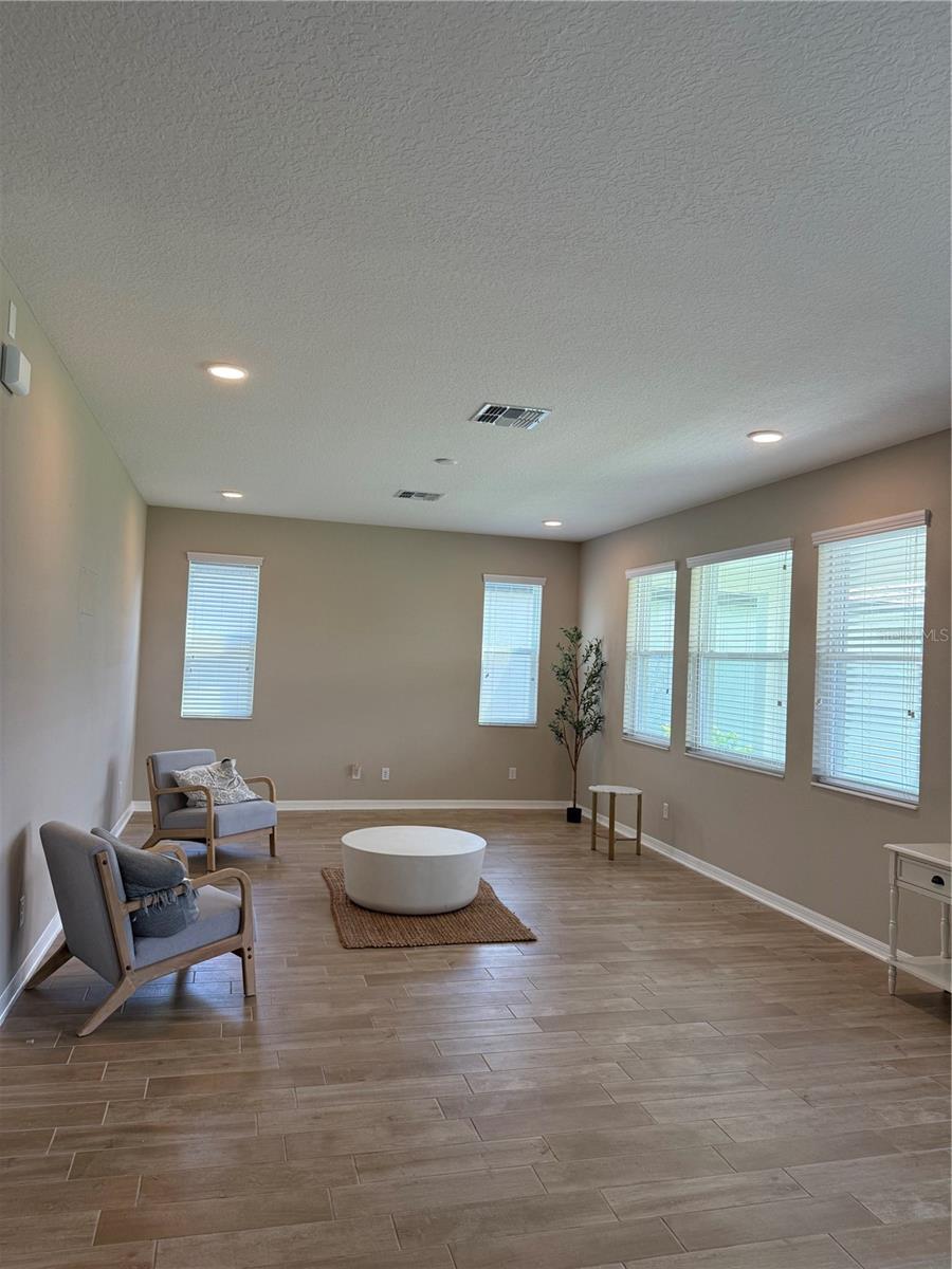 31954 Sapna Chime Dr Property Photo 3