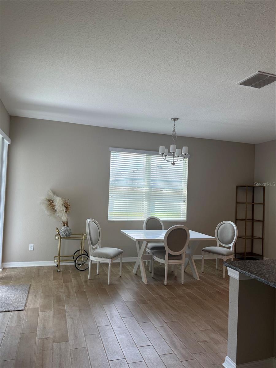 31954 Sapna Chime Dr Property Photo 4