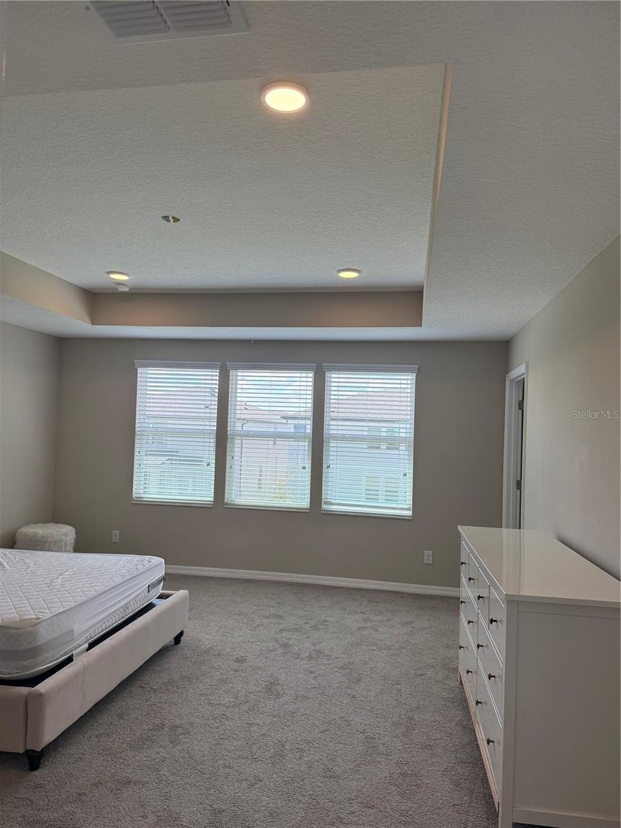31954 Sapna Chime Dr Property Photo 7