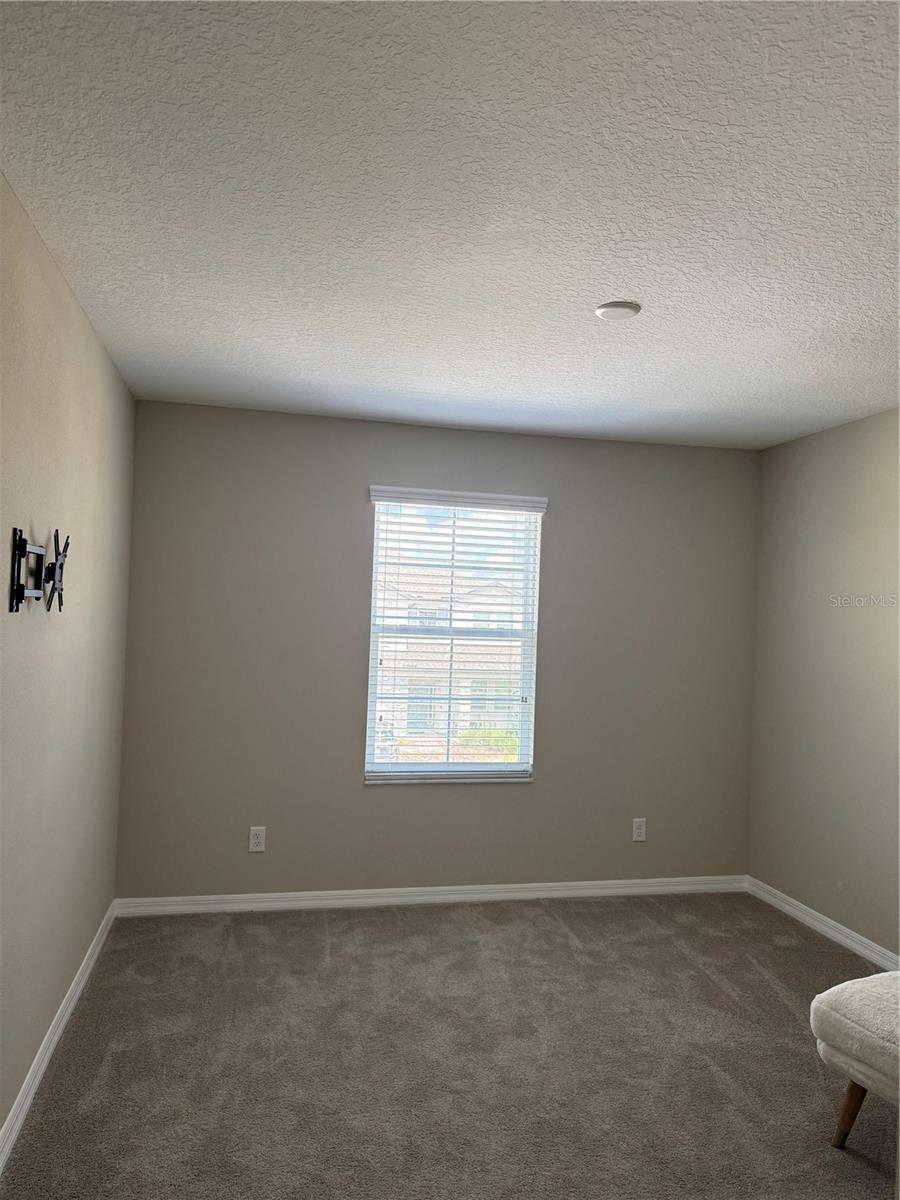 31954 Sapna Chime Dr Property Photo 11