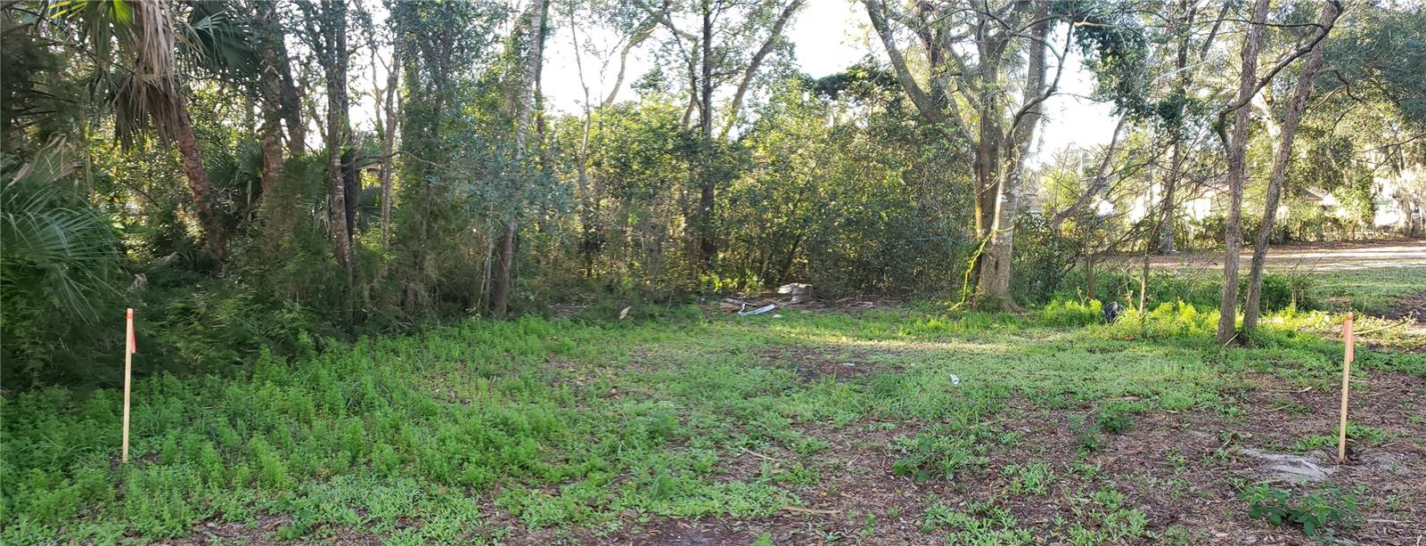 O6439478 Property Photo 1