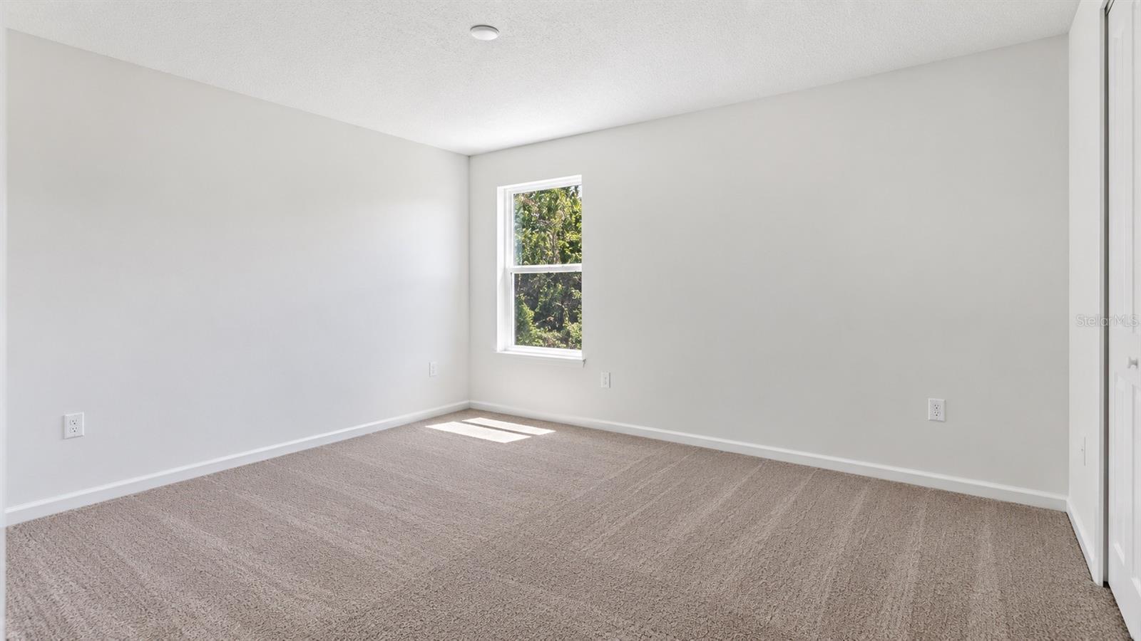 2461 Hallow Garden Rd Property Photo 23