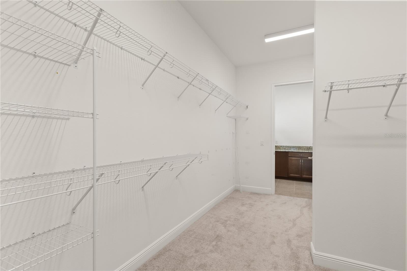 8148 Cleobury Dr Property Photo 19