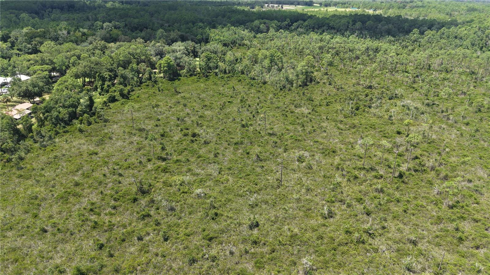 Crocus Ln Property Photo 28