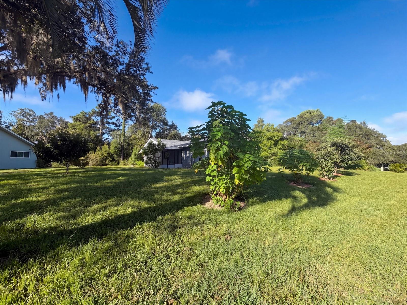 15 Shumard Ct E Property Photo 30