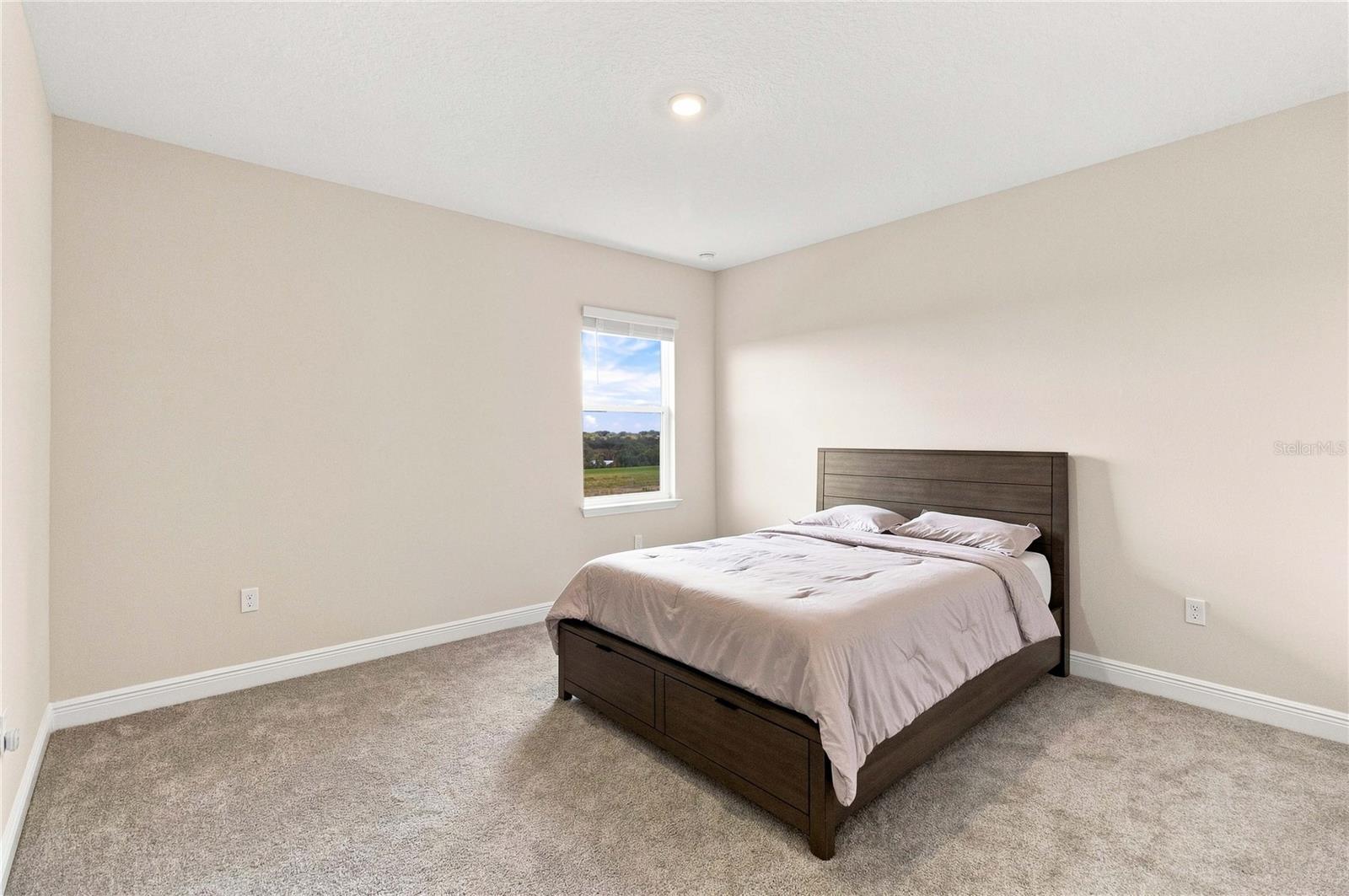 1662 Cadence St Property Photo 36