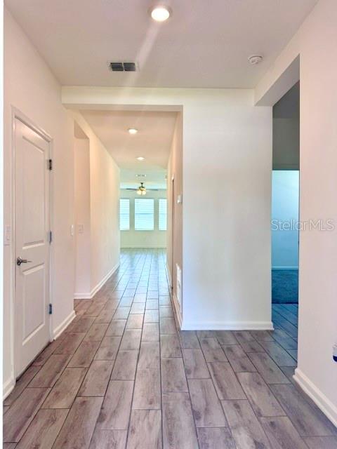 33611 Sky Blossom Cir Property Photo 5