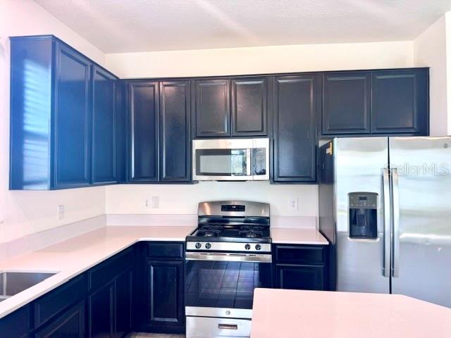 33611 Sky Blossom Cir Property Photo 9