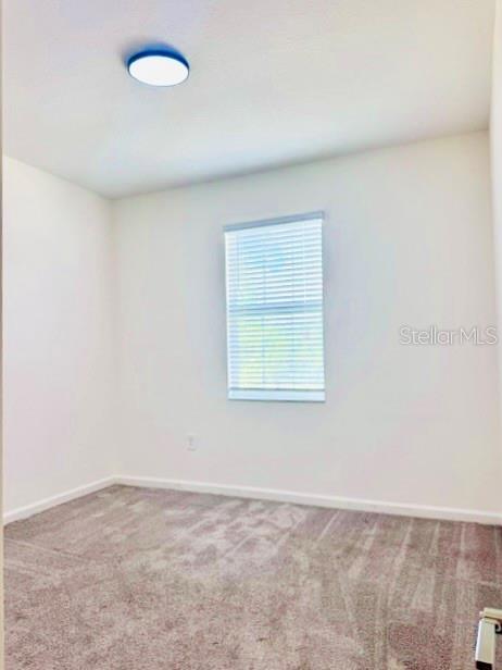 33611 Sky Blossom Cir Property Photo 18
