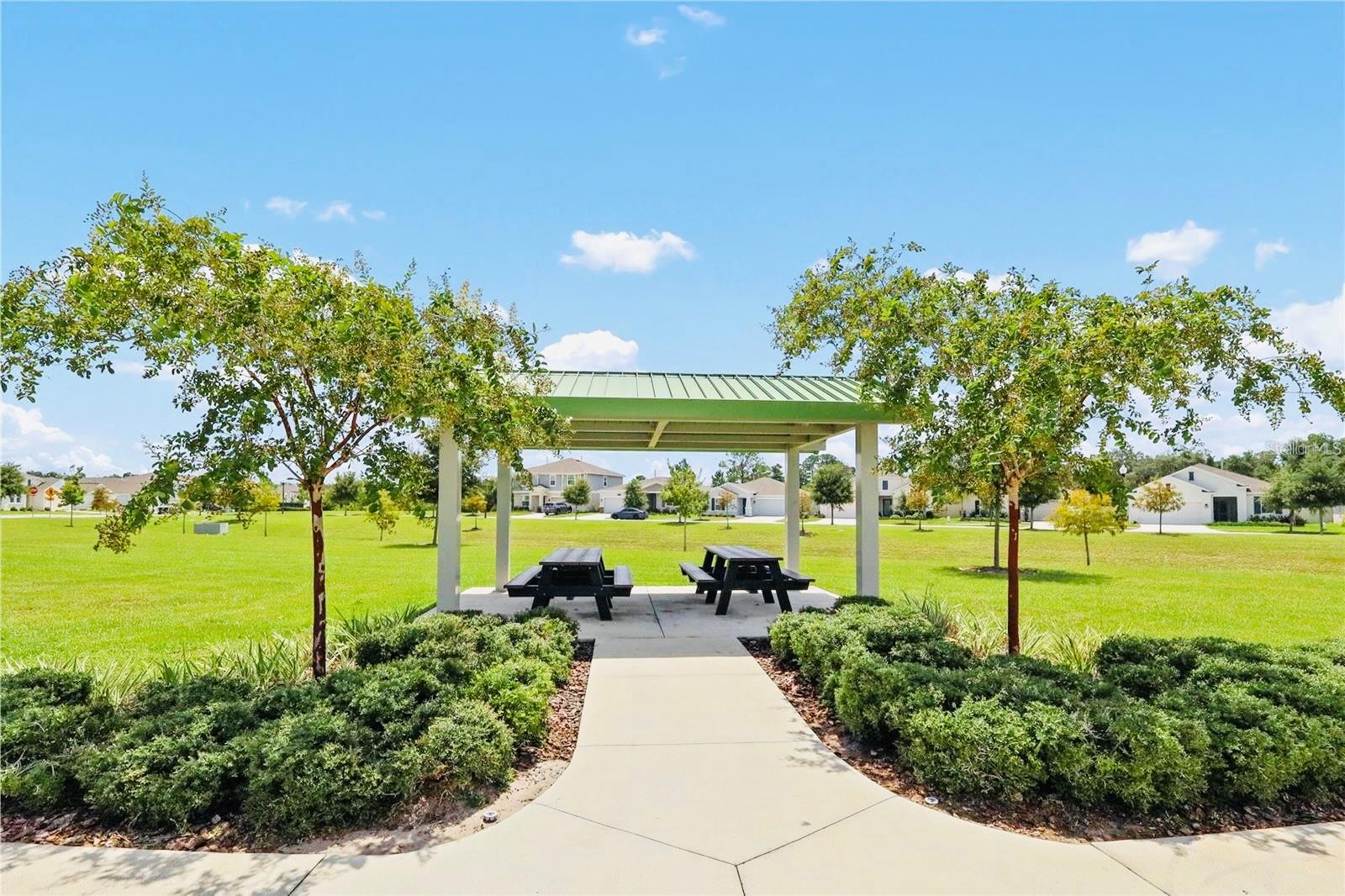 33611 Sky Blossom Cir Property Photo 28