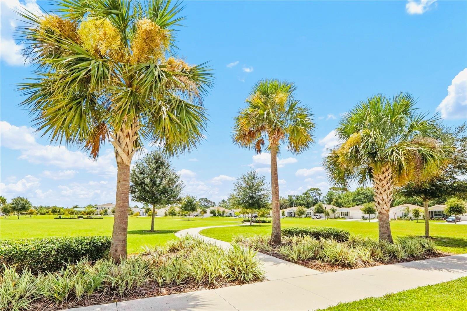 33611 Sky Blossom Cir Property Photo 29