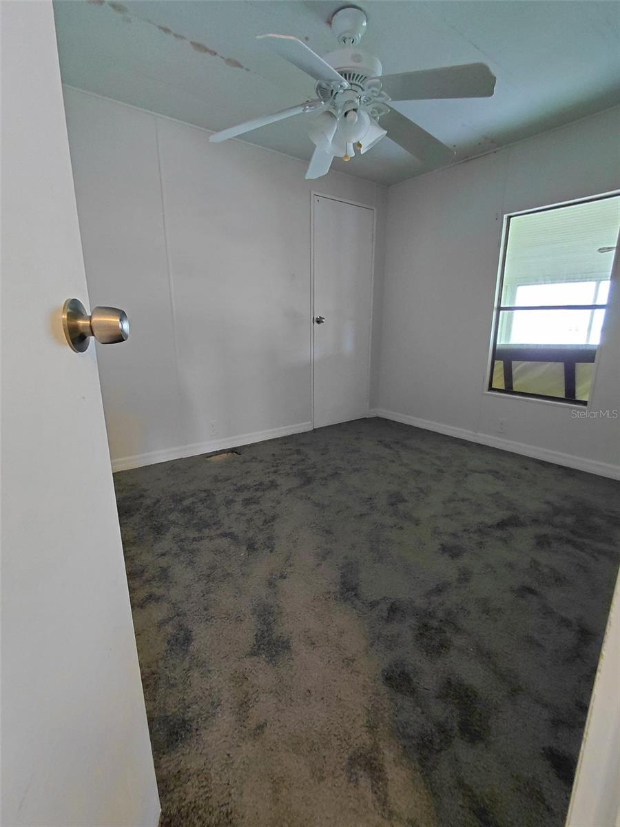 943 Jacaranda Dr Property Photo 8