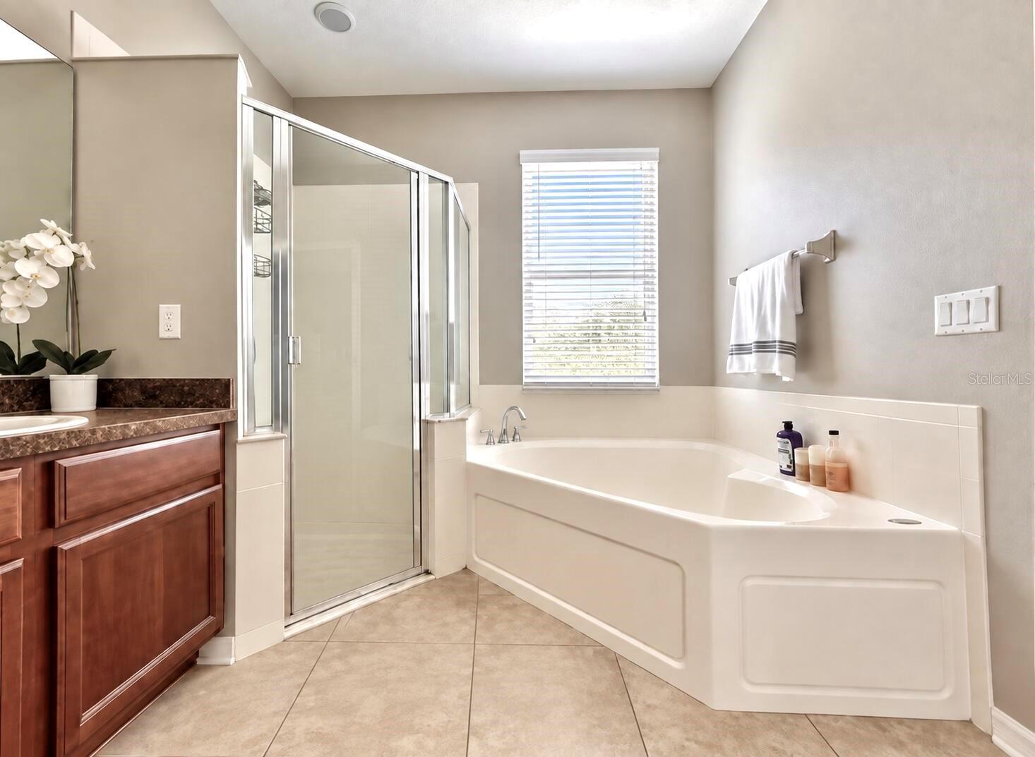 13303 Moss Park Ridge Dr Property Photo 14
