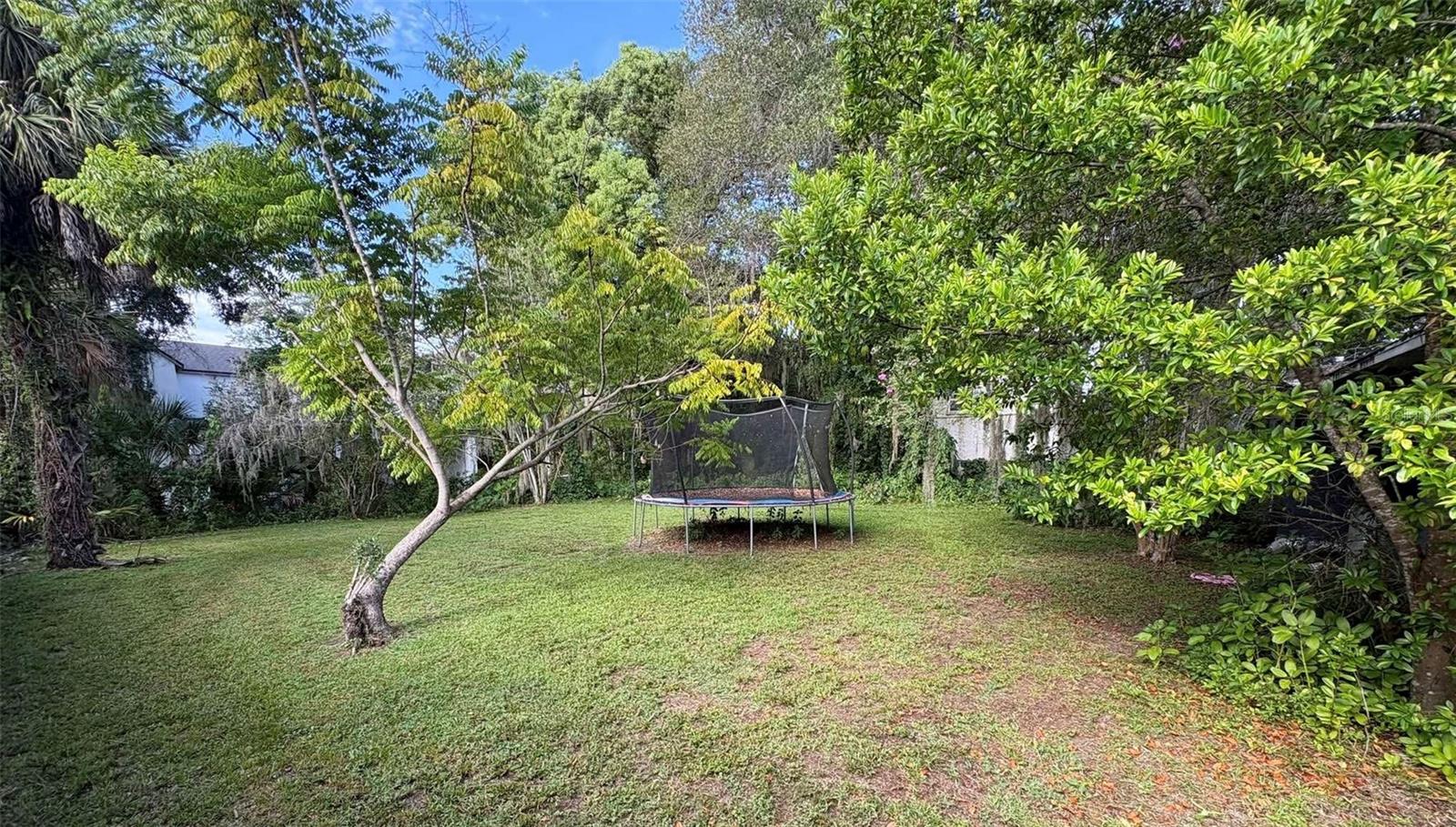 1212 Delaney Park Dr Property Photo 3