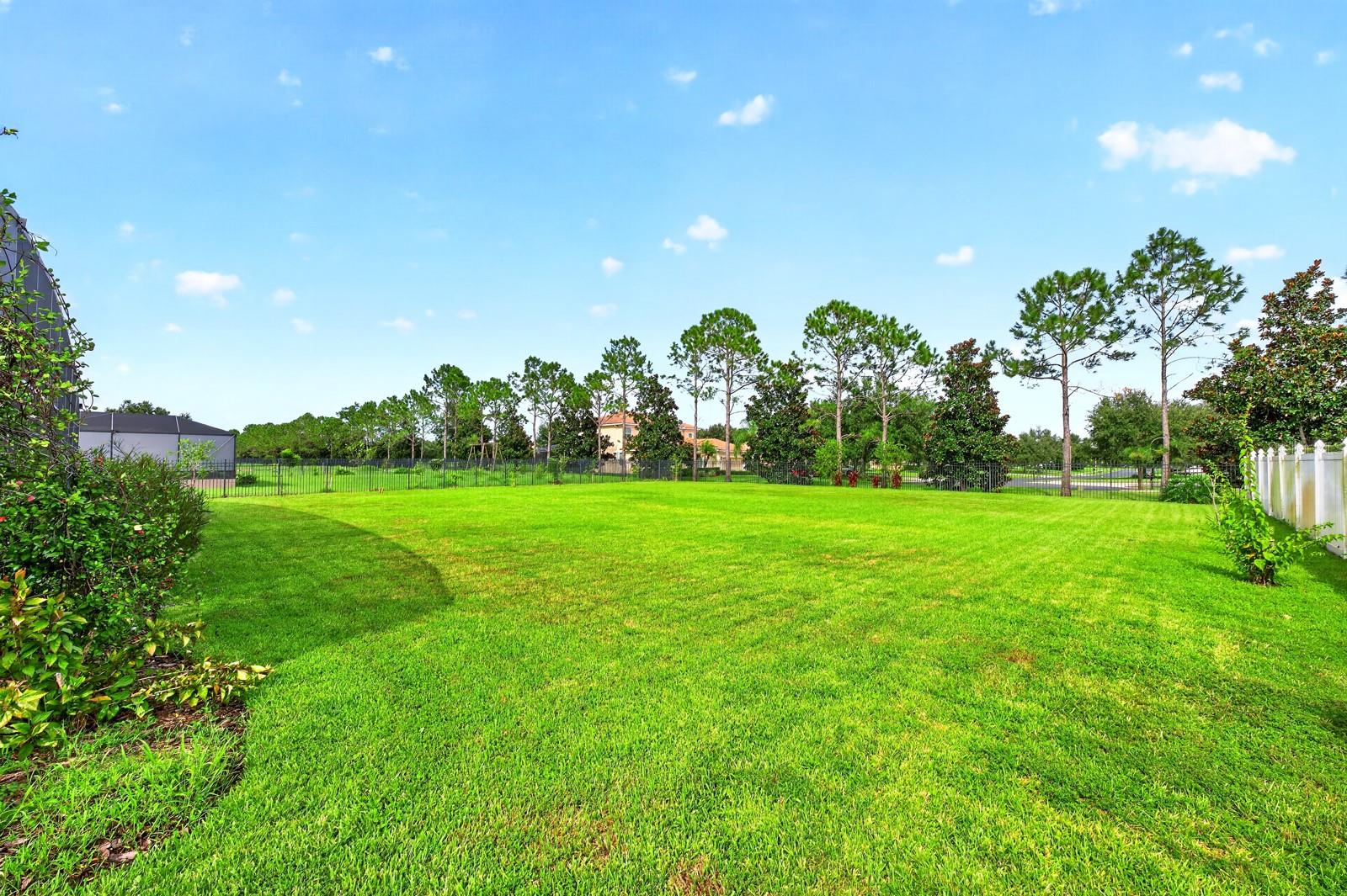 3135 Amalfi Dr Property Photo 47