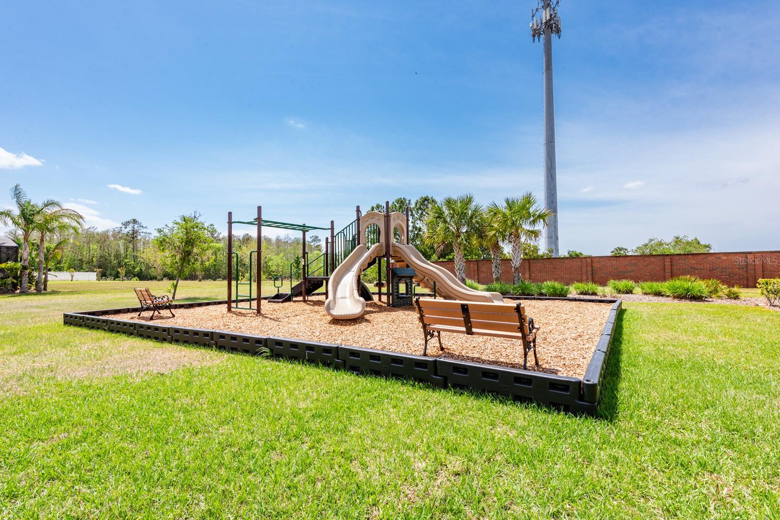 3135 Amalfi Dr Property Photo 54