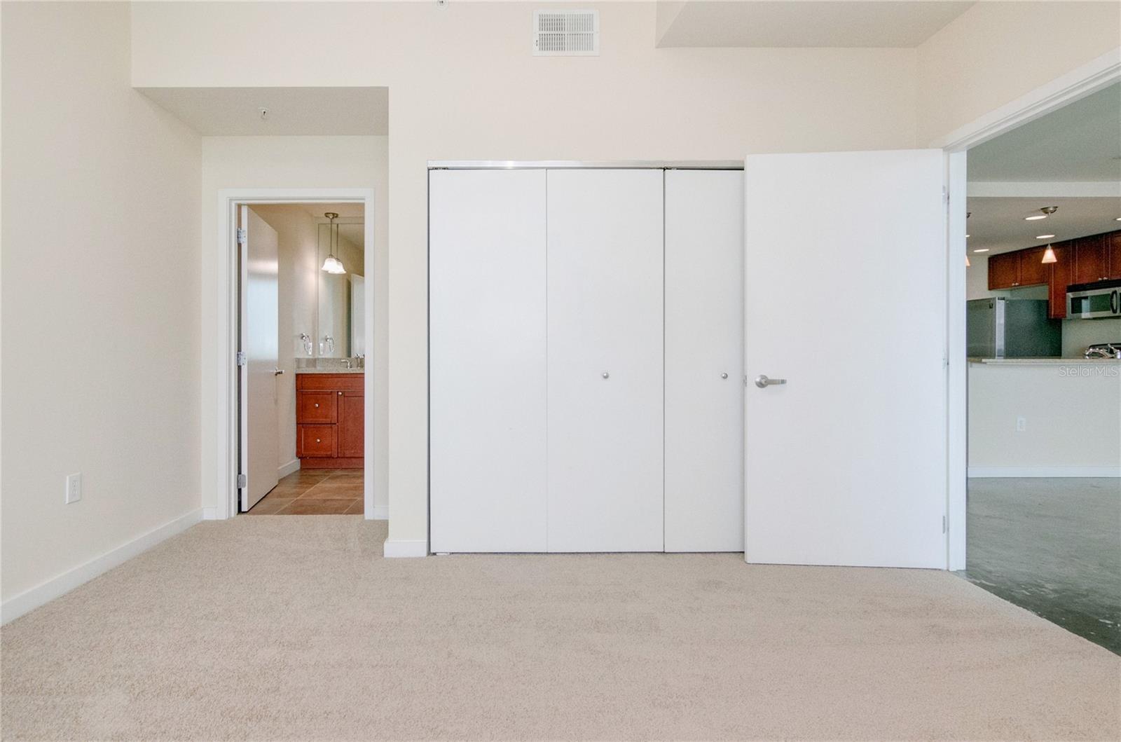 525 E Jackson St #704 Property Photo 17