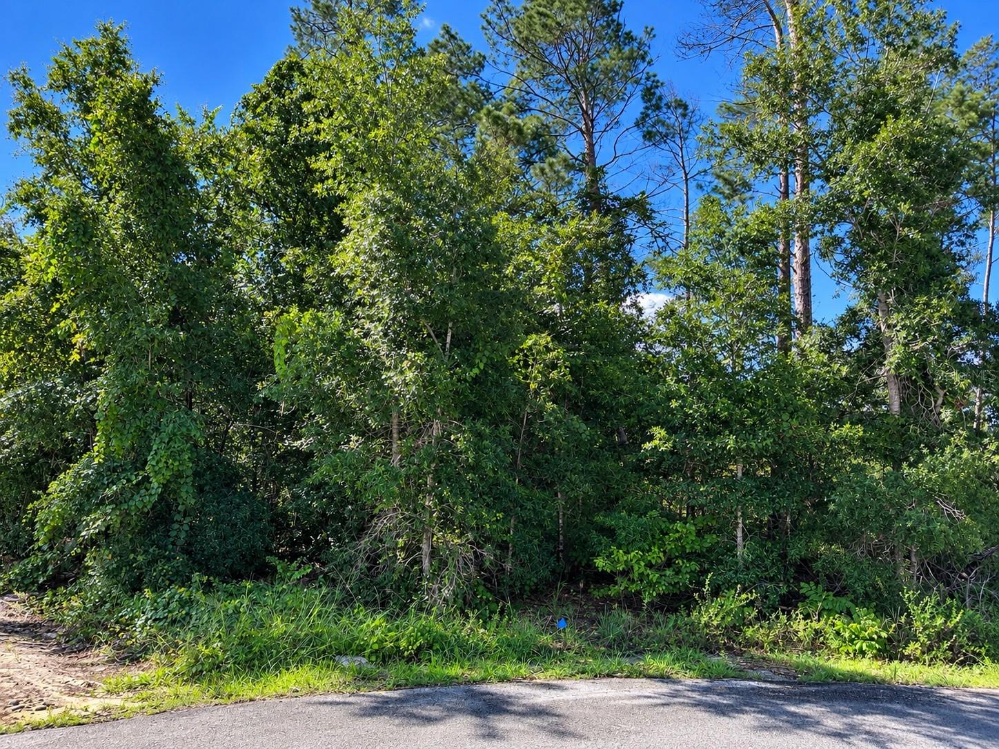 13410 Short Ct Property Photo 2