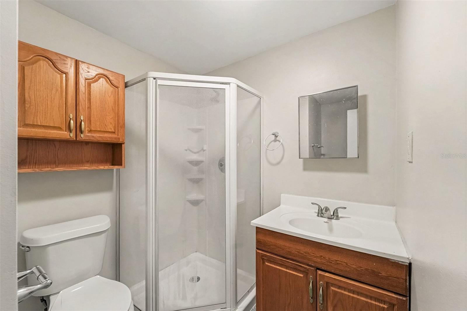 10036 Glen Moor Ln Property Photo 17