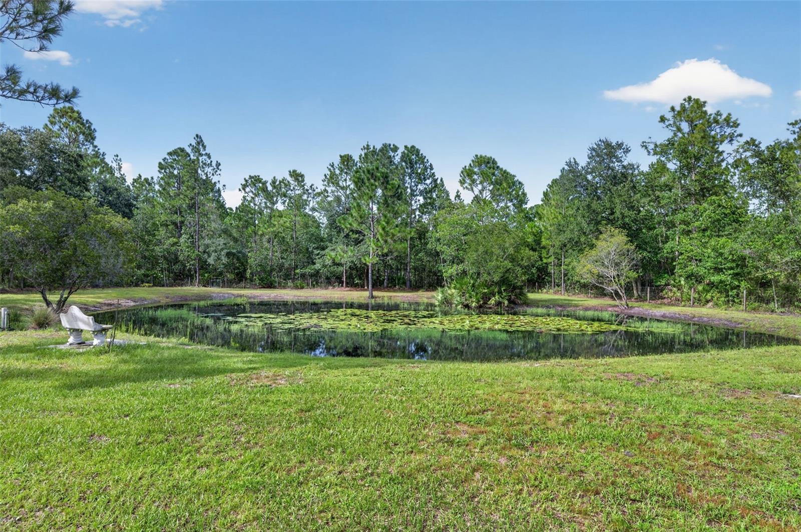 20963 E Colonial Dr Property Photo 51