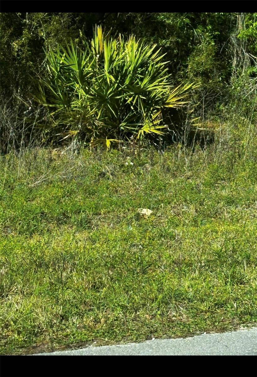 2 24th Property Photo 1