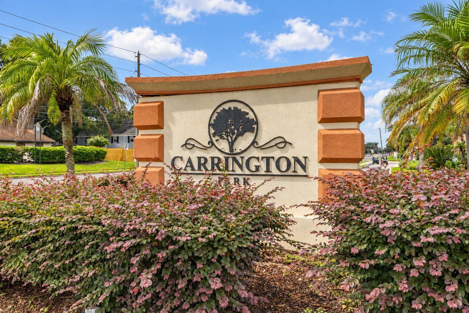 484 Banyon Tree Cir #100 Property Photo 26