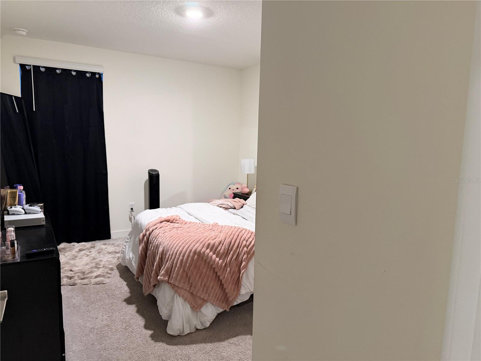 258 Capulet Cv Property Photo 13