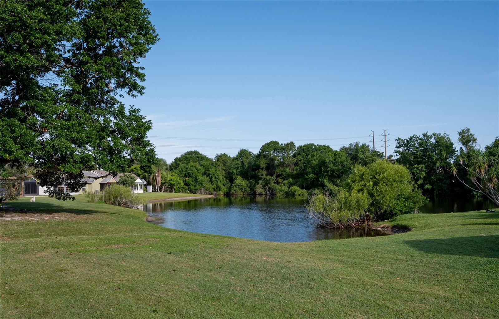 102 Candlewick Ct Property Photo 2