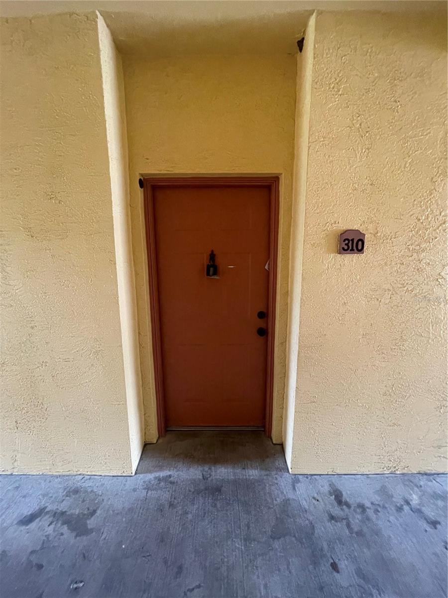 3508 Windy Walk Way #6310 Property Photo 2