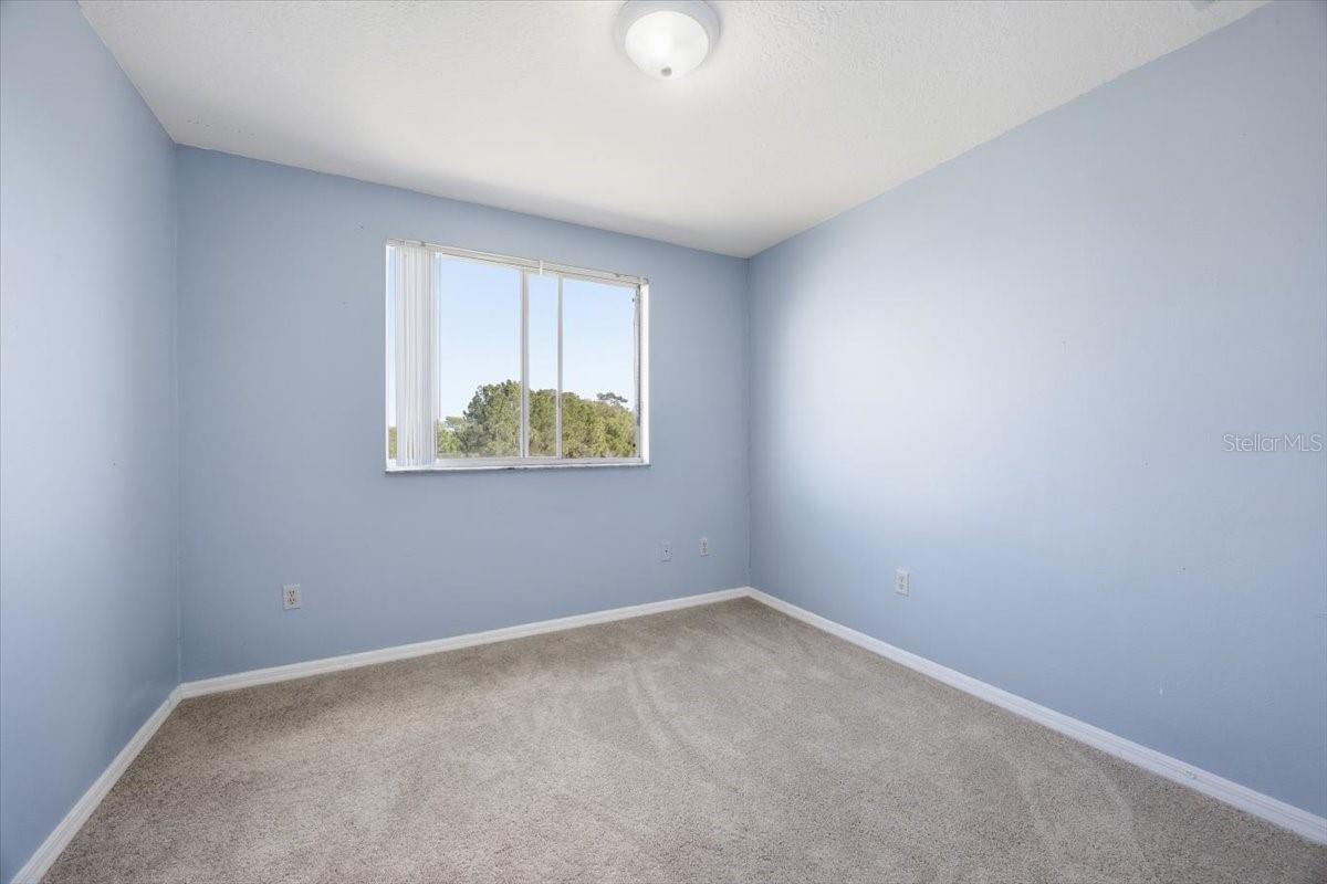 713 Washington Palm Loop #main Property Photo 17