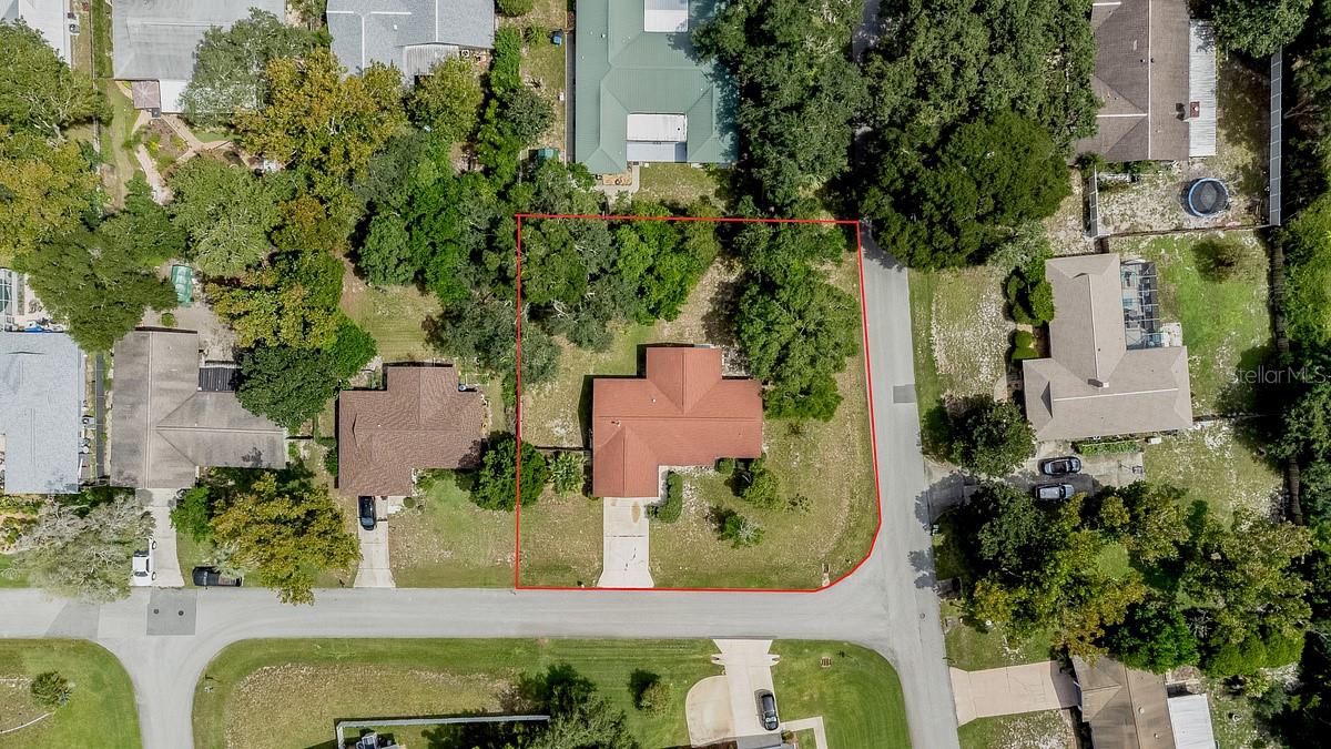 2 Blaine Tree Pl Property Photo 3