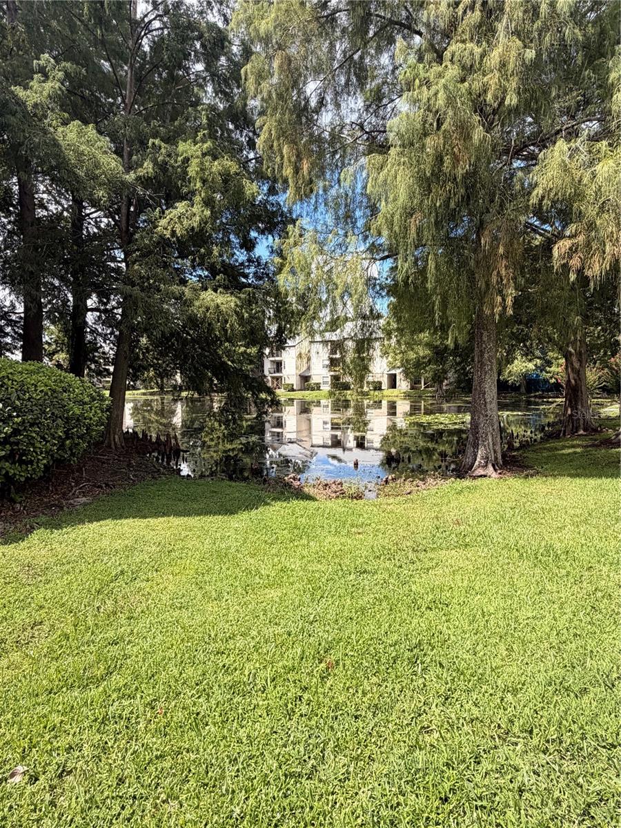 1908 Lake Atriums Cir #24 Property Photo 14