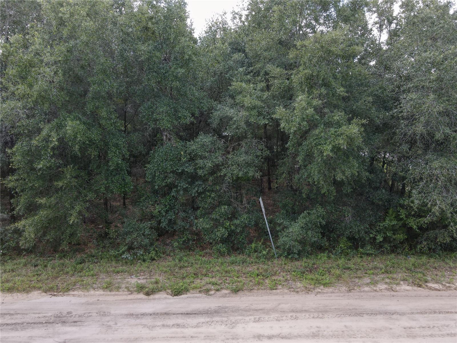 Trenton St Property Photo 6