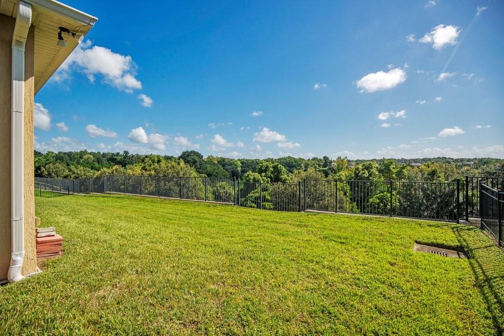 1888 Jainic Loop Property Photo 35
