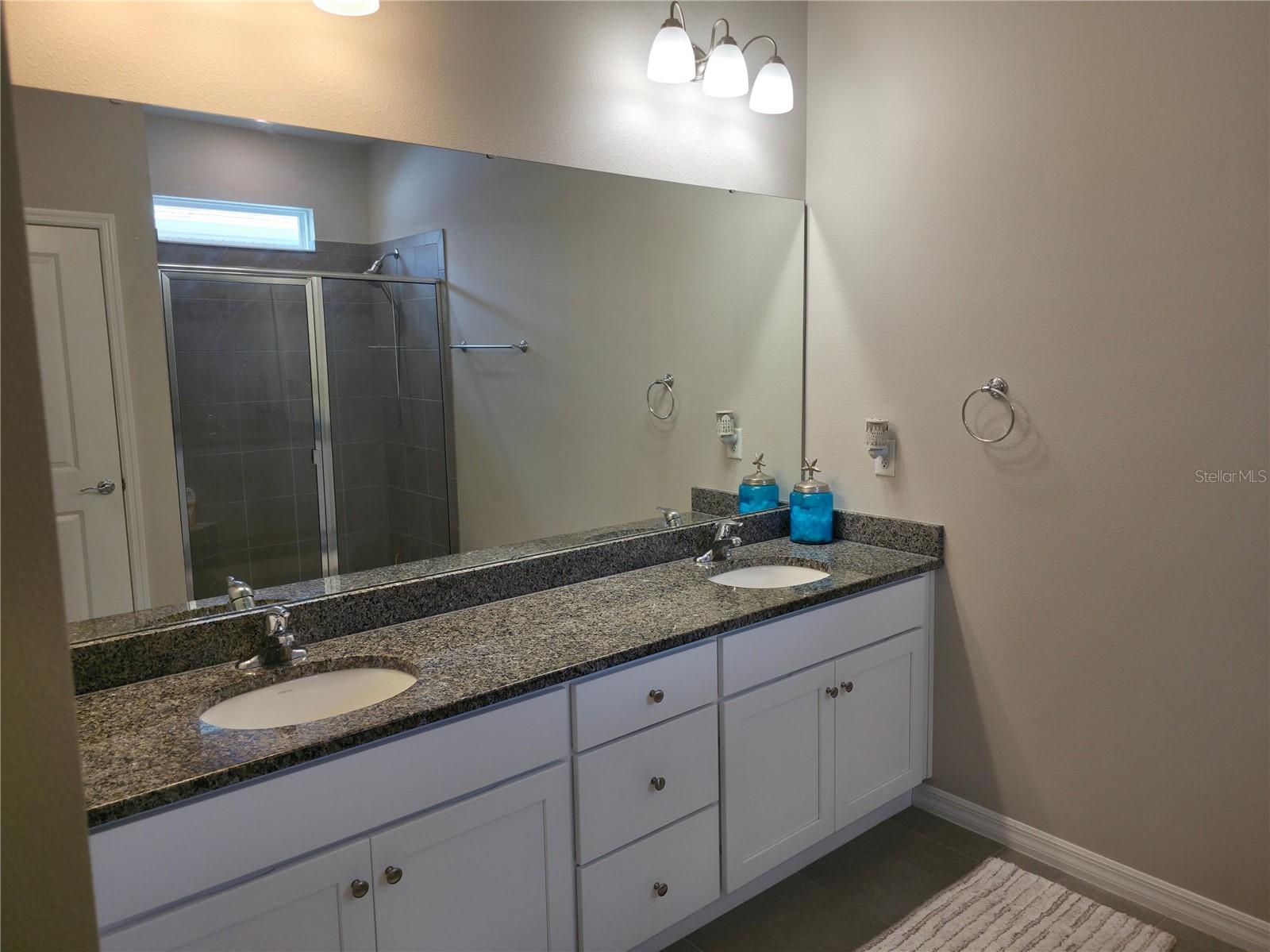 13318 Waterleaf Garden Cir Property Photo 13