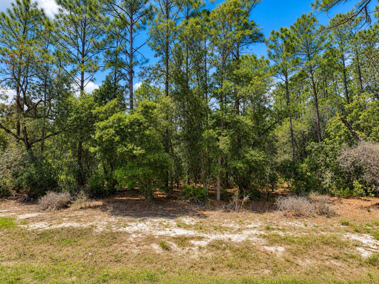 0 Sw 69th Court Road Property Photo 2