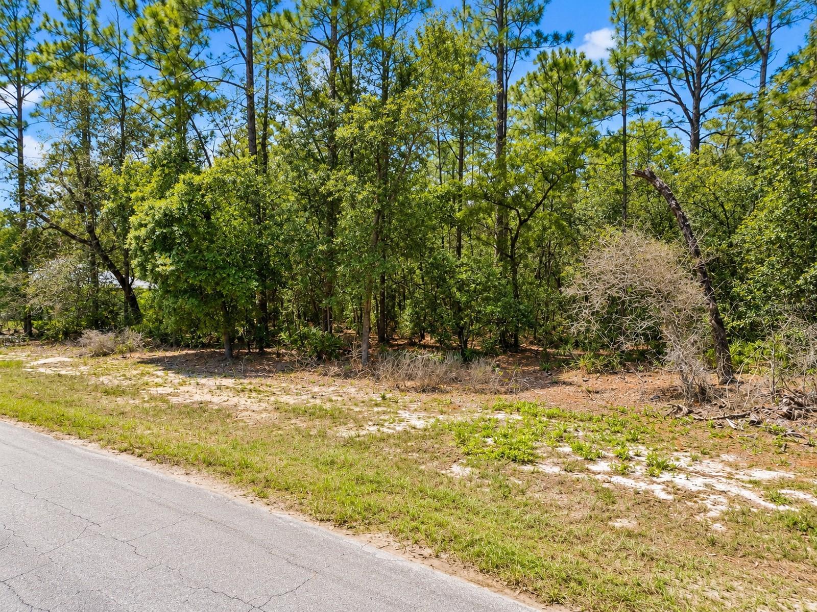 0 Sw 69th Court Road Property Photo 3
