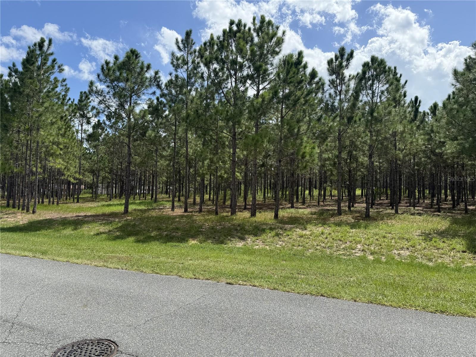 535 Clear Rd Property Photo 3