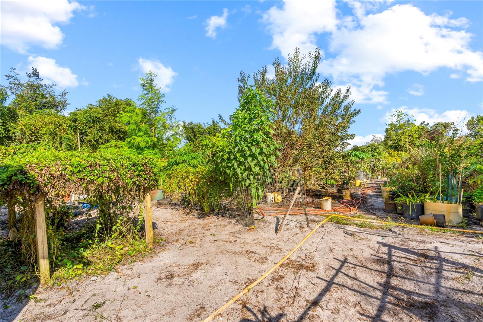 2384 Doyle Rd Property Photo 43