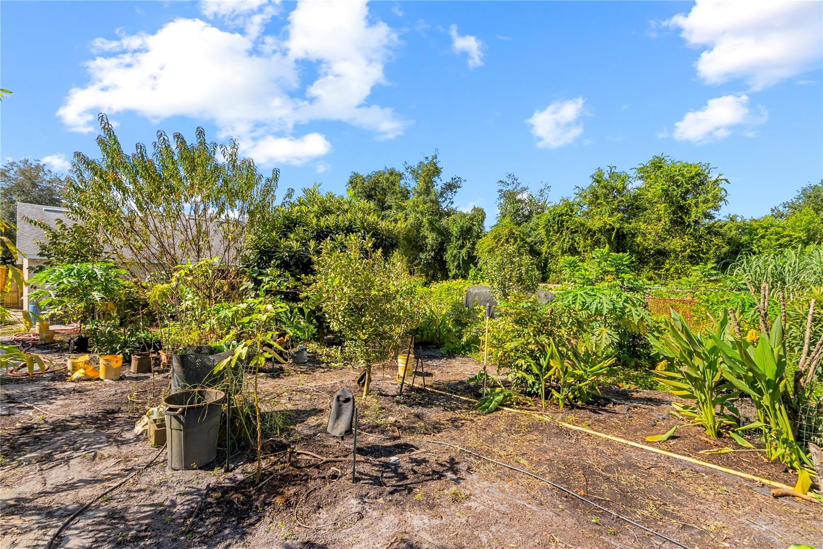 2384 Doyle Rd Property Photo 44