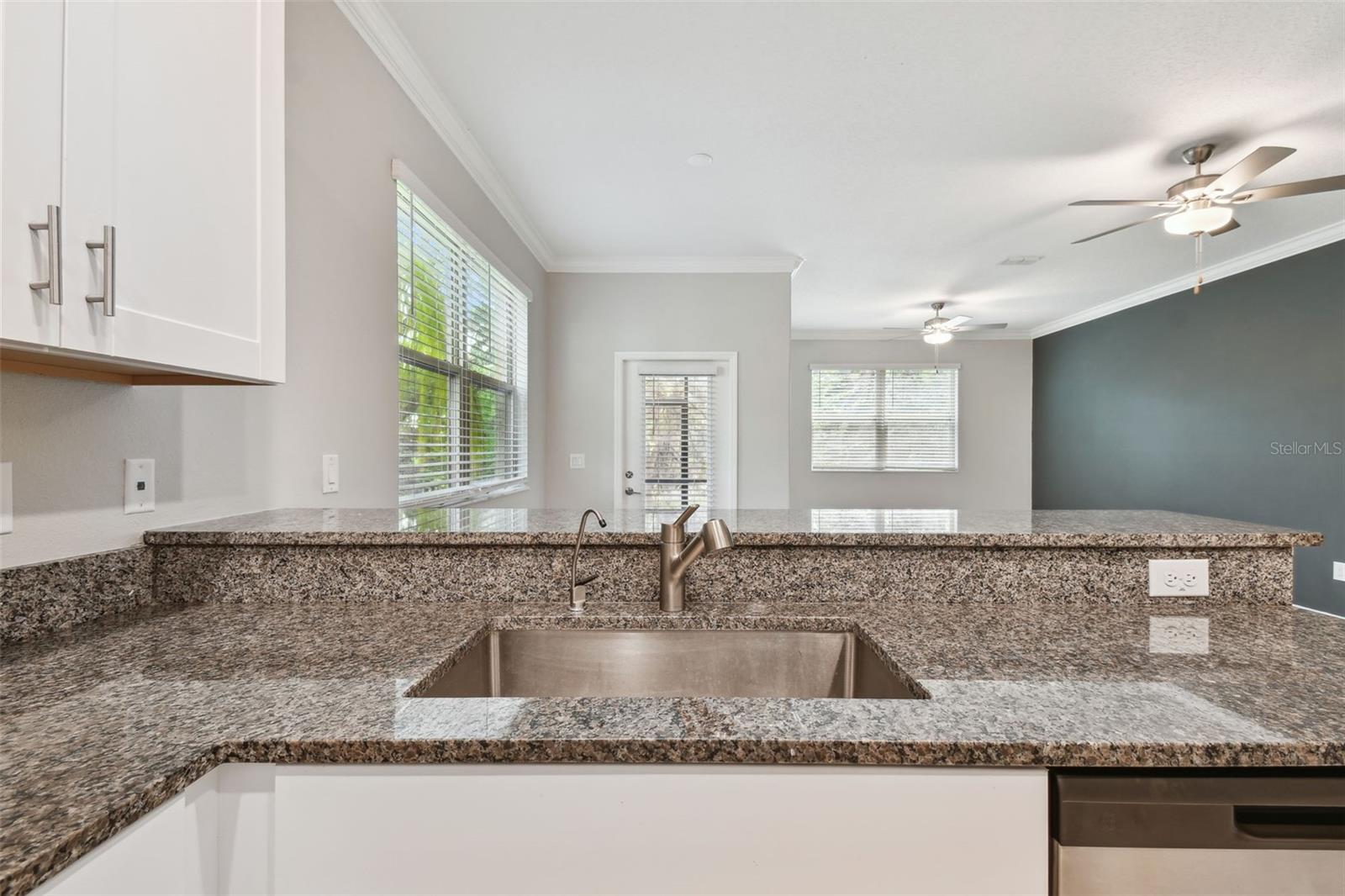 30814 Veridian Way Property Photo 27